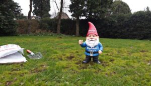 Moos im Rasen: Warum Kalk streuen im Februar das Problem oft verschlimmert